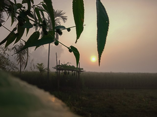 IMG20221018063254_00.jpg