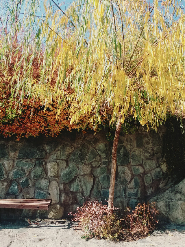 B612_20161119_105752.jpg