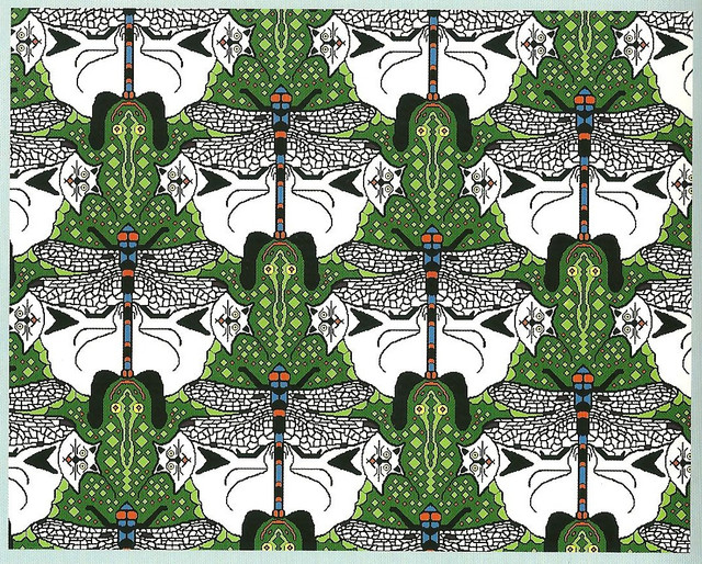 catsfrogsdragonflies.jpg