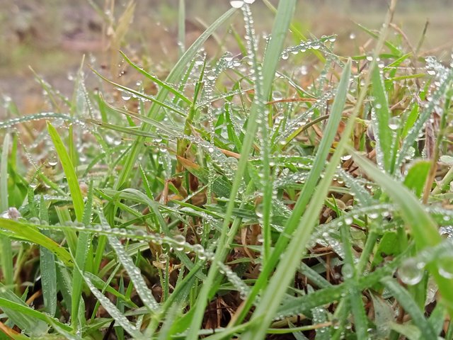 IMG20221027083456_00.jpg