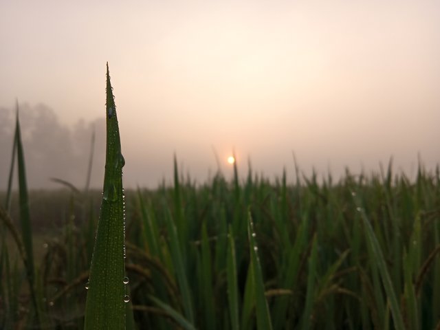 IMG20221018063005_00.jpg