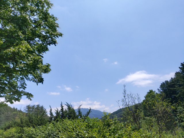 5월말2.jpg
