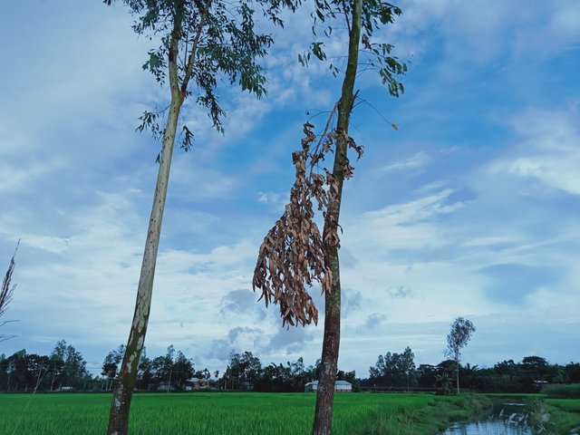 IMG20221003161957_00.jpg