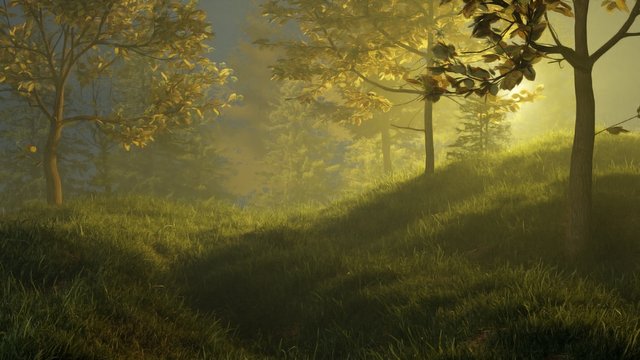 fog_landscape_cycles.jpg