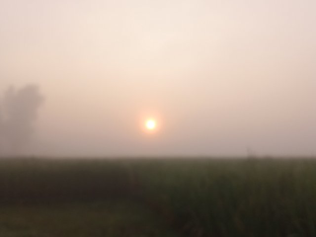 IMG20221018063124_00.jpg
