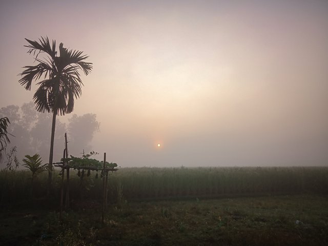 IMG20221018062930_00.jpg
