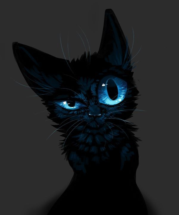 0212e0603d91bb53e3fbedc0b9762d57--cat-illustrations-cat-illustration-art.jpg