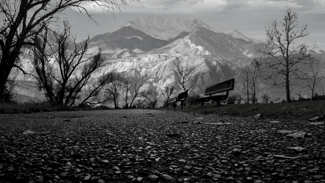 YI063701.MP4_20180113_152225.081-bw-inspirations-mountain-park-walk-#275.png