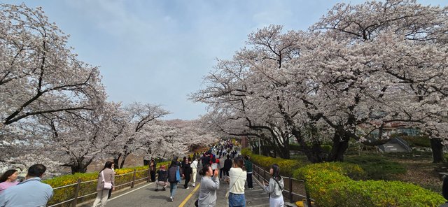 KakaoTalk_20250412_181007492_05.jpg
