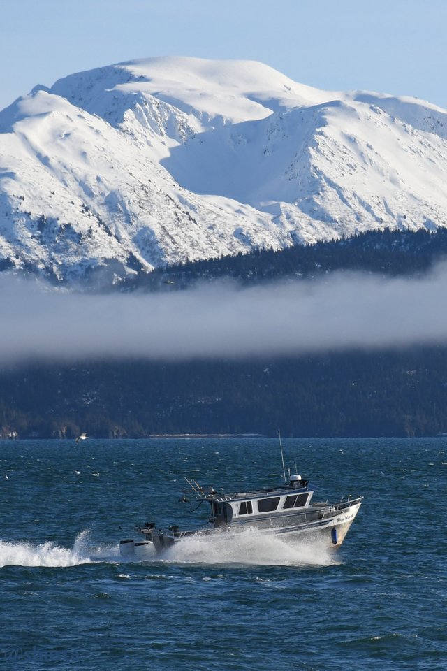 shasta2019march4th47bythesea3io.jpg