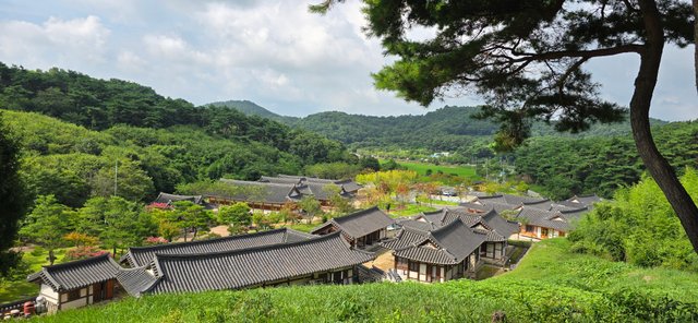 KakaoTalk_20250809_085647745_08.jpg