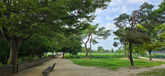 KakaoTalk_20240816_225925134_04.jpg