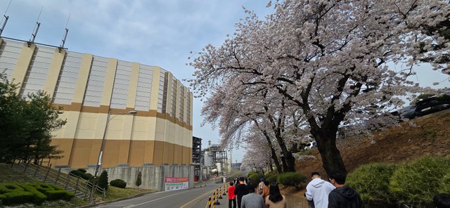 KakaoTalk_20250412_181007492_12.jpg
