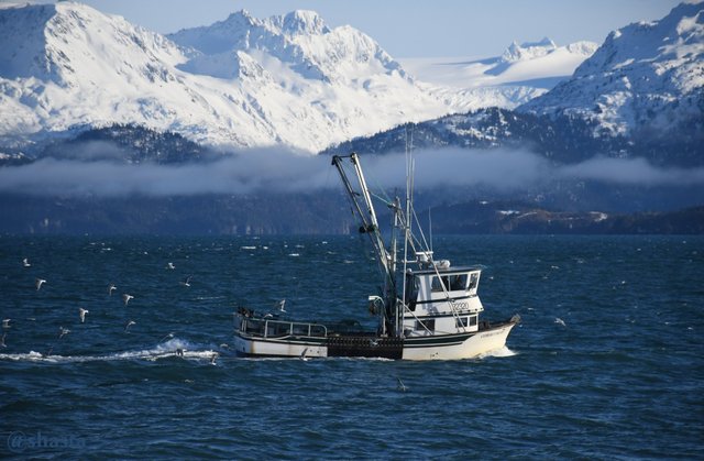 shasta2019march4th47bythesea2io.jpg