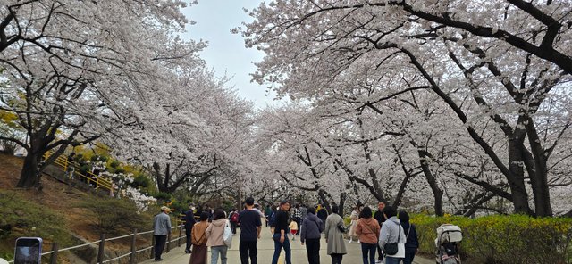 KakaoTalk_20250412_173217170_24.jpg