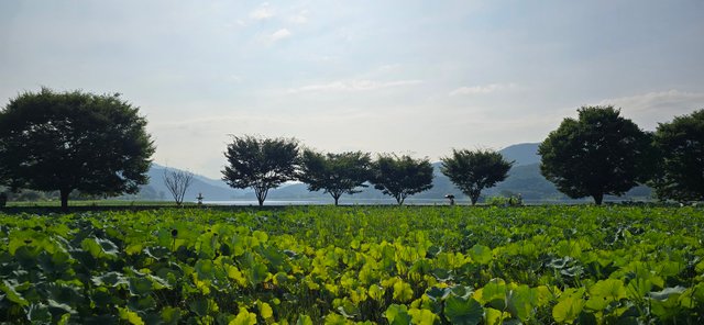KakaoTalk_20240816_225925134_11.jpg
