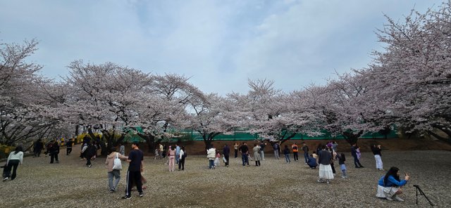 KakaoTalk_20250412_173217170_22.jpg