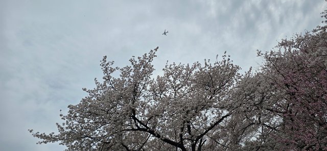 KakaoTalk_20250412_173217170_09.jpg
