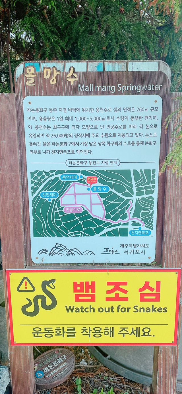 KakaoTalk_20260430_092132047_21.jpg