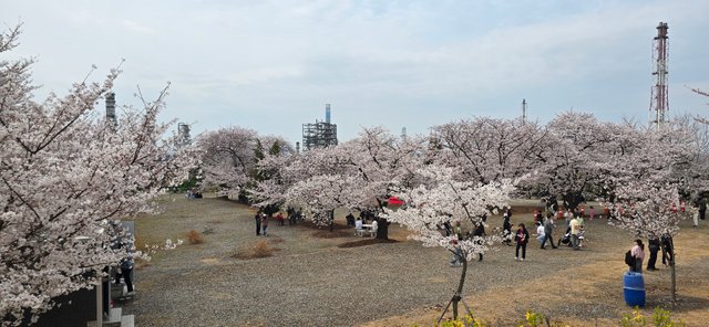 KakaoTalk_20250412_173217170_12.jpg