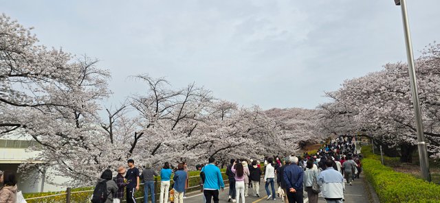KakaoTalk_20250412_181007492_07.jpg