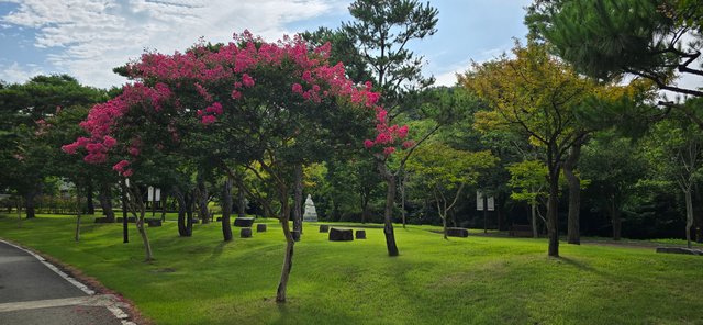 KakaoTalk_20250809_085647745_12.jpg