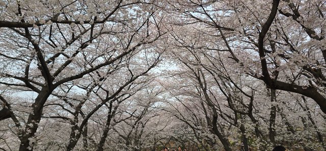 KakaoTalk_20250412_173217170_16.jpg