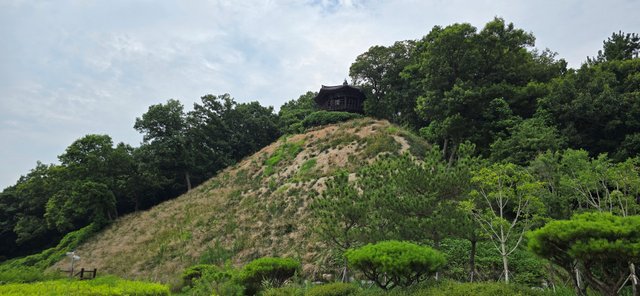 KakaoTalk_20250801_022749238_21.jpg