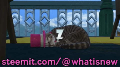 U5dtmfKTdS9hmCHExnsxFXxcBPrhzoe.gif