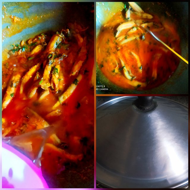 CollageMaker_20211218_112824298.jpg