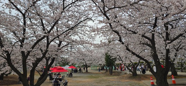 KakaoTalk_20250412_173217170_13.jpg