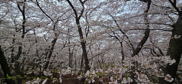 KakaoTalk_20250412_173217170_17.jpg