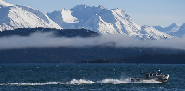 shasta2019march4th47bythesea6io.jpg