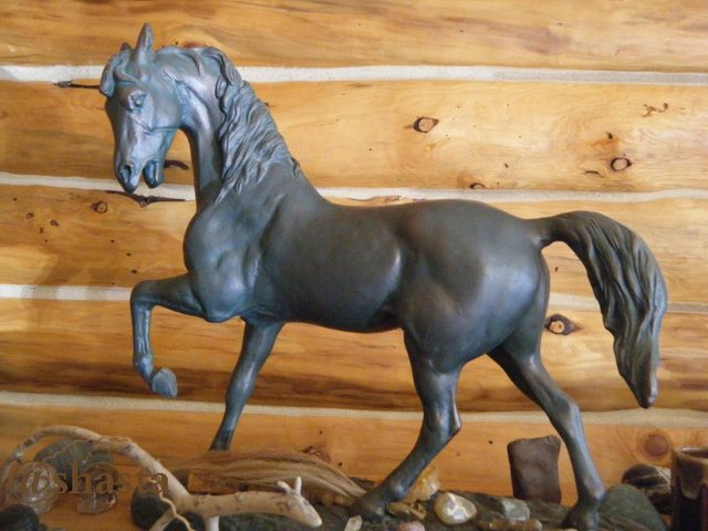 shasta2019april17th47horse804io.jpg