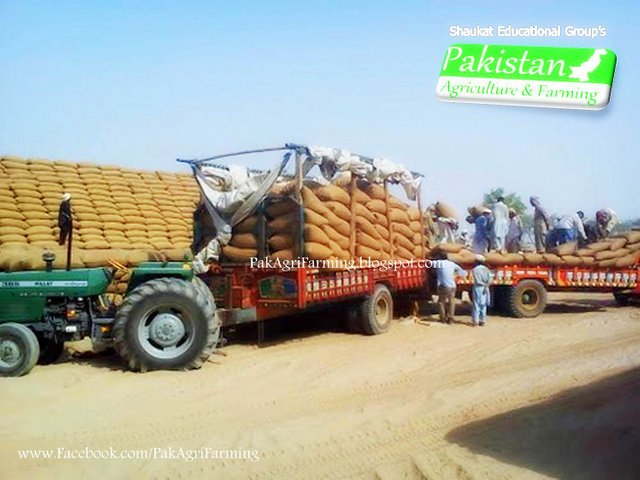 agri marketing problems-001.jpg