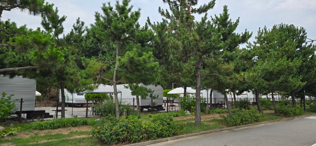 KakaoTalk_20250801_022749238_25.jpg