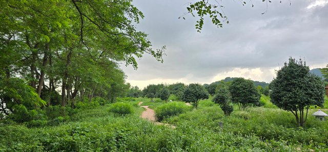 KakaoTalk_20250809_085341513_17.jpg