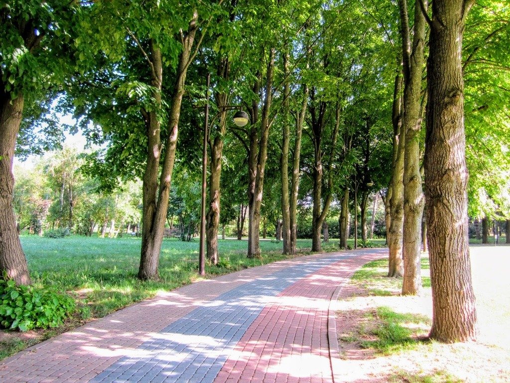 городской сад парк горького краснодар. городской парк краснодара галицкого. краснодар дендрарий ботанический. в какие сады краснодар. ботанический сад кубгу краснодар.