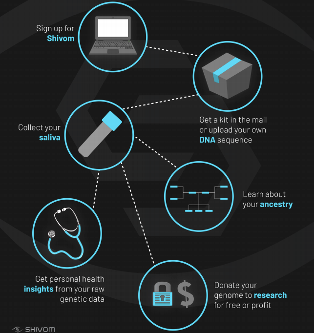 Get the kit. Get your kit. Cricket kit. Invision studio. Get your kit.