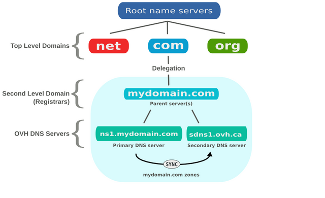 Am domain