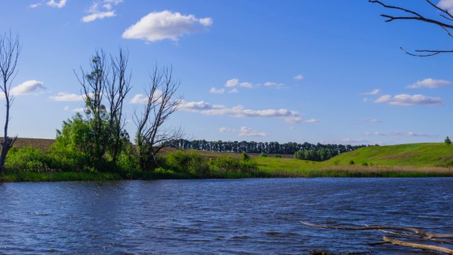Панская слобода. Панская Слобода залив. Панская Слобода река. Петровчик ставок. Панское Ульяновск.