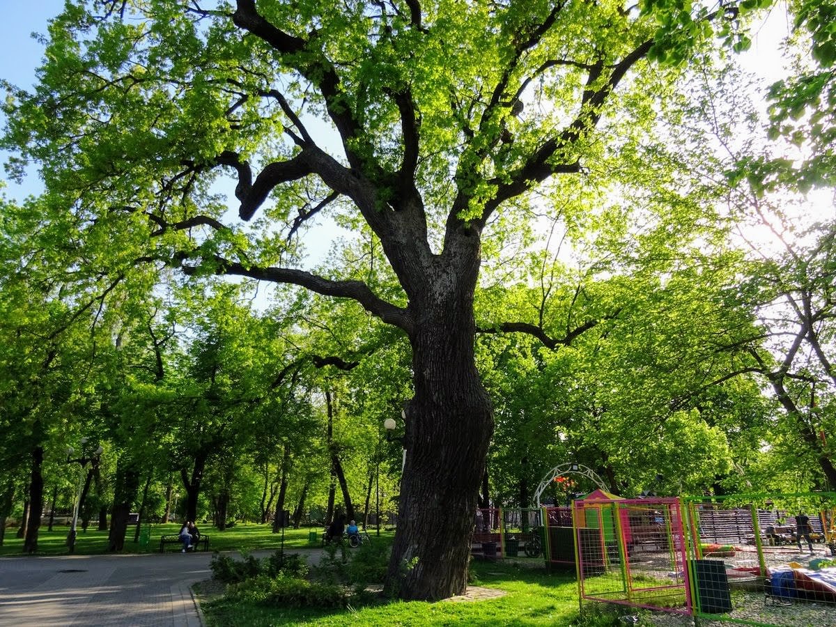 Кунцевский парк