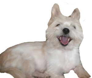 3.png