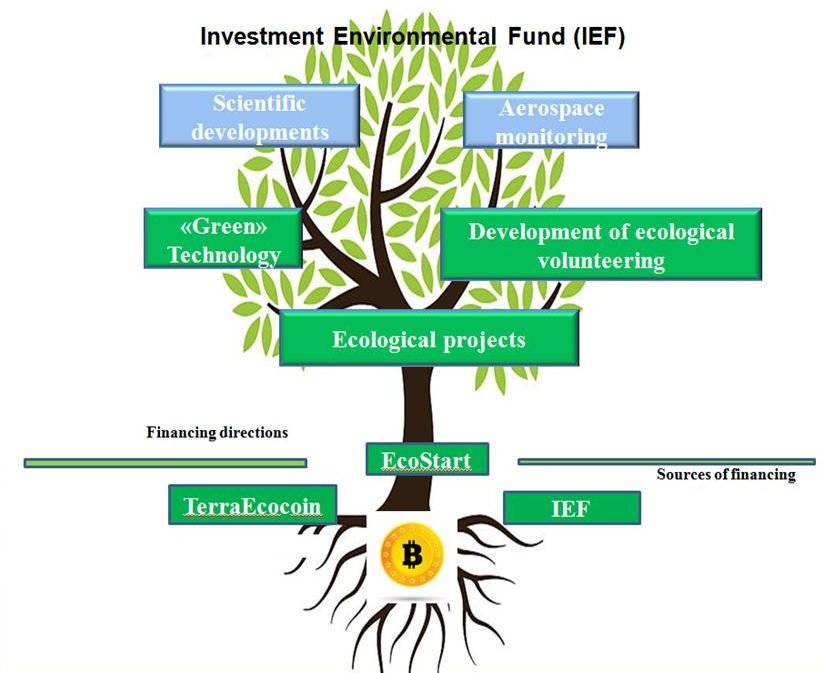 Environmental problems проект