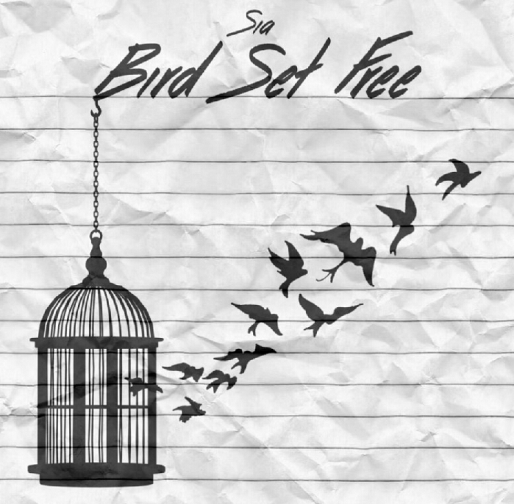 Bird set free. Sia set. Bird set free сиа. Free me sia cover. Sia bird set free.