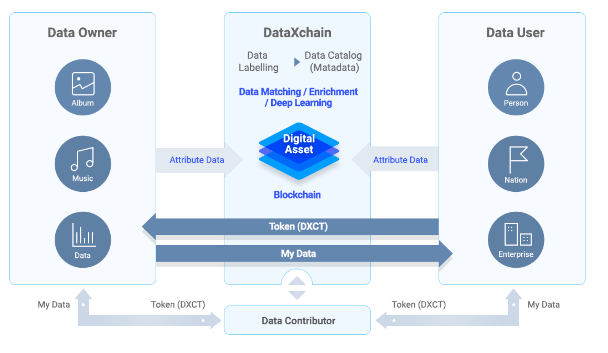 User album. Data catalog. User data. Программа для IPAD my data attributes data connect. Data labeling.