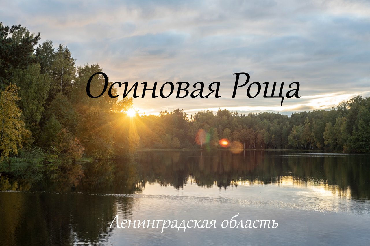 DQmbaDACaizAeaTF3Rpyntk33C2pBhK7DTzecjFiYFFW7Yd/1.jpg