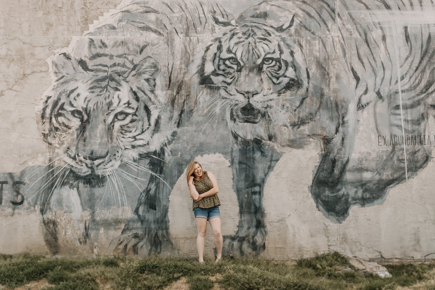 Граффити тигра в воде
