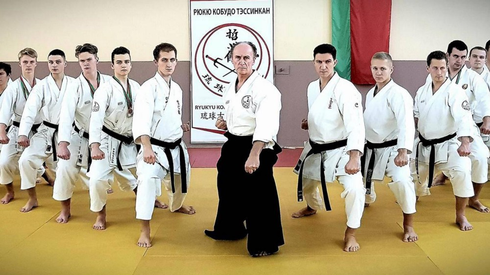 Daniel larusso. Каратэ шотокан wkf. Рио киюна каратэ. Каратэ балаково. Каратэ кёкусин кайкан.