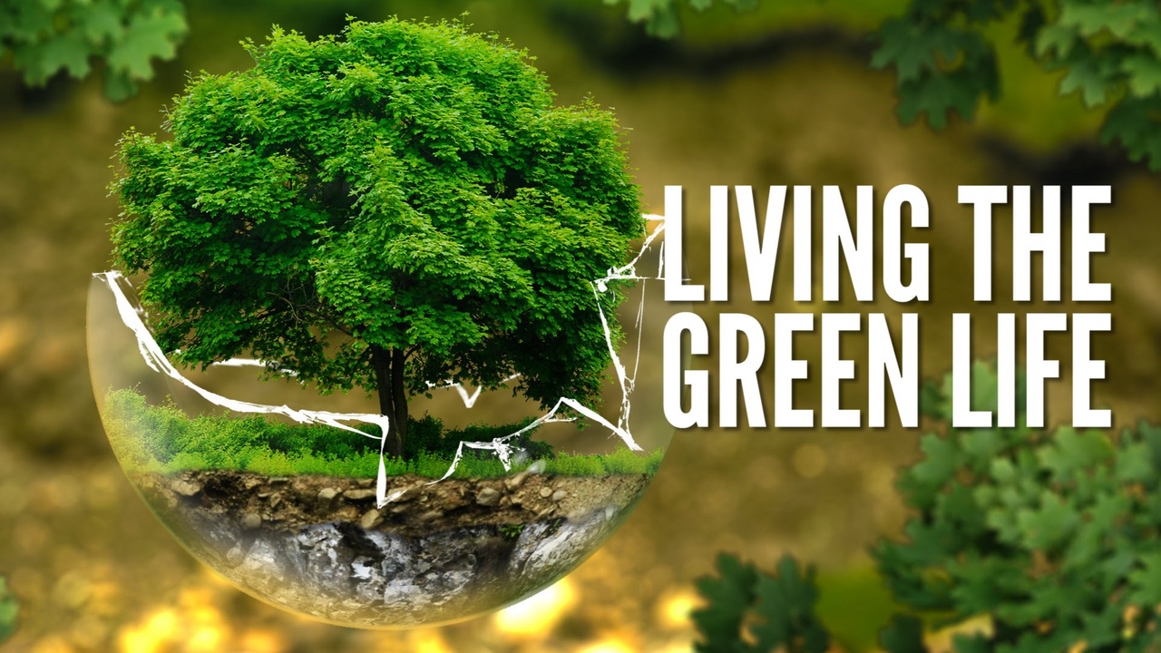 Green is life. Green Life. Green Life фон. Картинки Green Life. Seed Green Life.